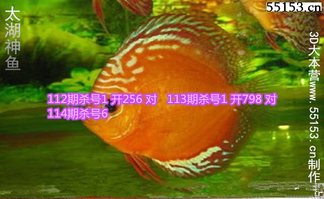 <a href=https://www.3d005.com/taihuzimi/ target=_blank class=infotextkey>̫</a>2018114P3ɱͼ(ԭ)