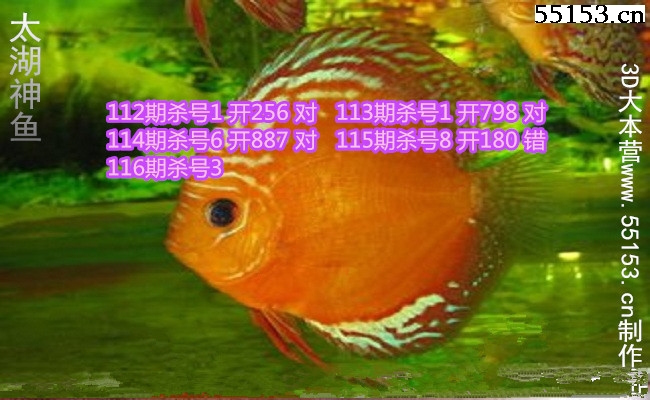 <a href=https://www.3d005.com/taihuzimi/ target=_blank class=infotextkey>̫</a>2018116P3ɱͼ(ԭ)